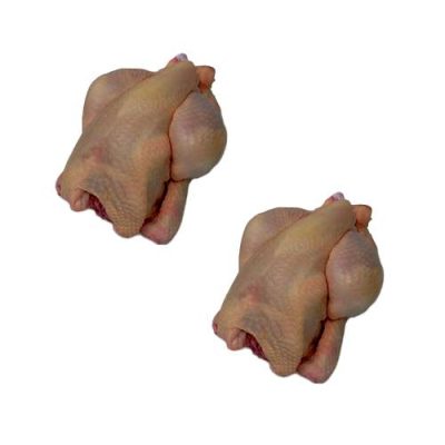 Poussiner