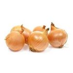 Zittauerløg store 80+ 10 kg. af kepaløg slægten