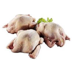 Perlehøns ca. 1200 gr. 3 stk. Ca. 3,6 kg.