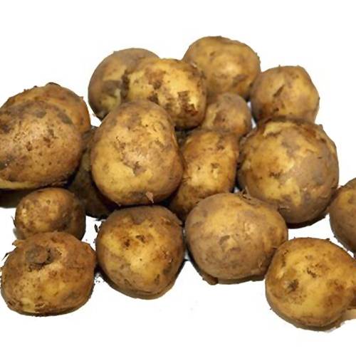 Kartofler Nye DK i BK/PS 10 ps. a' 1 kg.