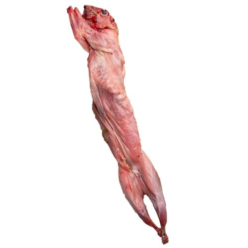 Kanin med hoved ca. 1100 gr.