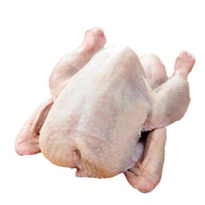 Fjerkræ