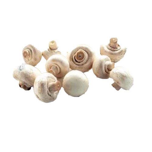 Champignon Rodskårne 2,5 kg.