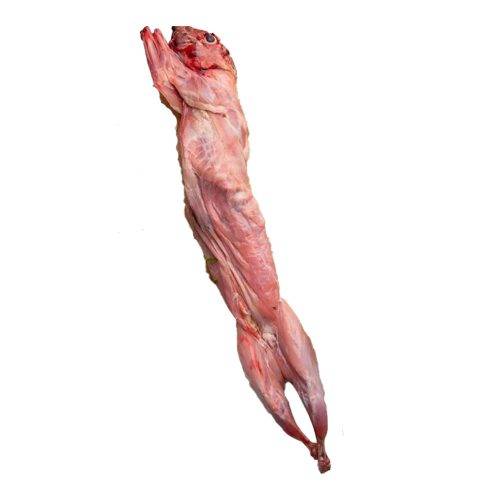 Kanin med hoved ca. 1600 gr.